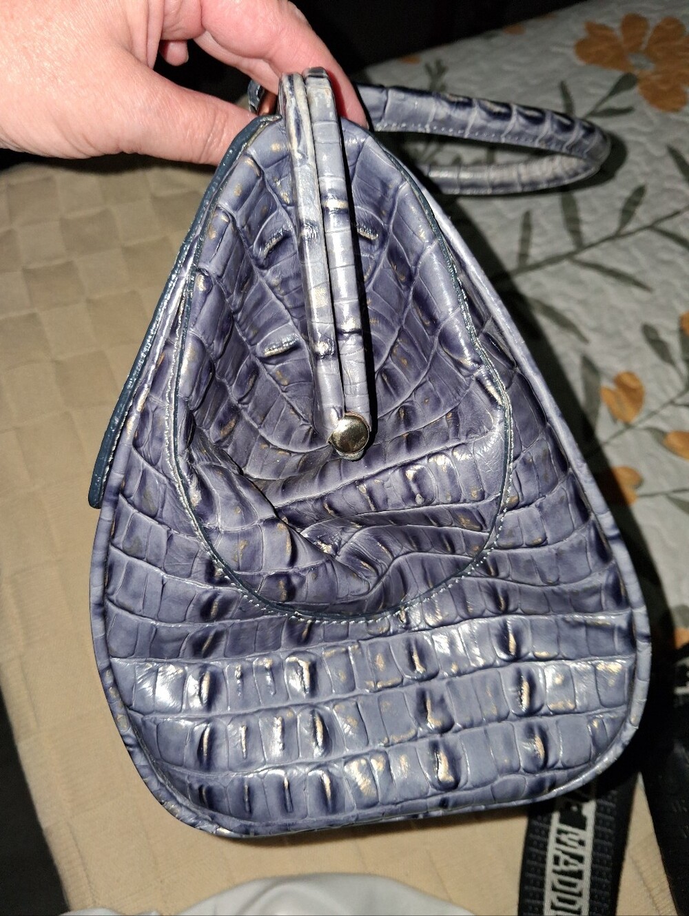 Brahmin - Picture 7 of 8